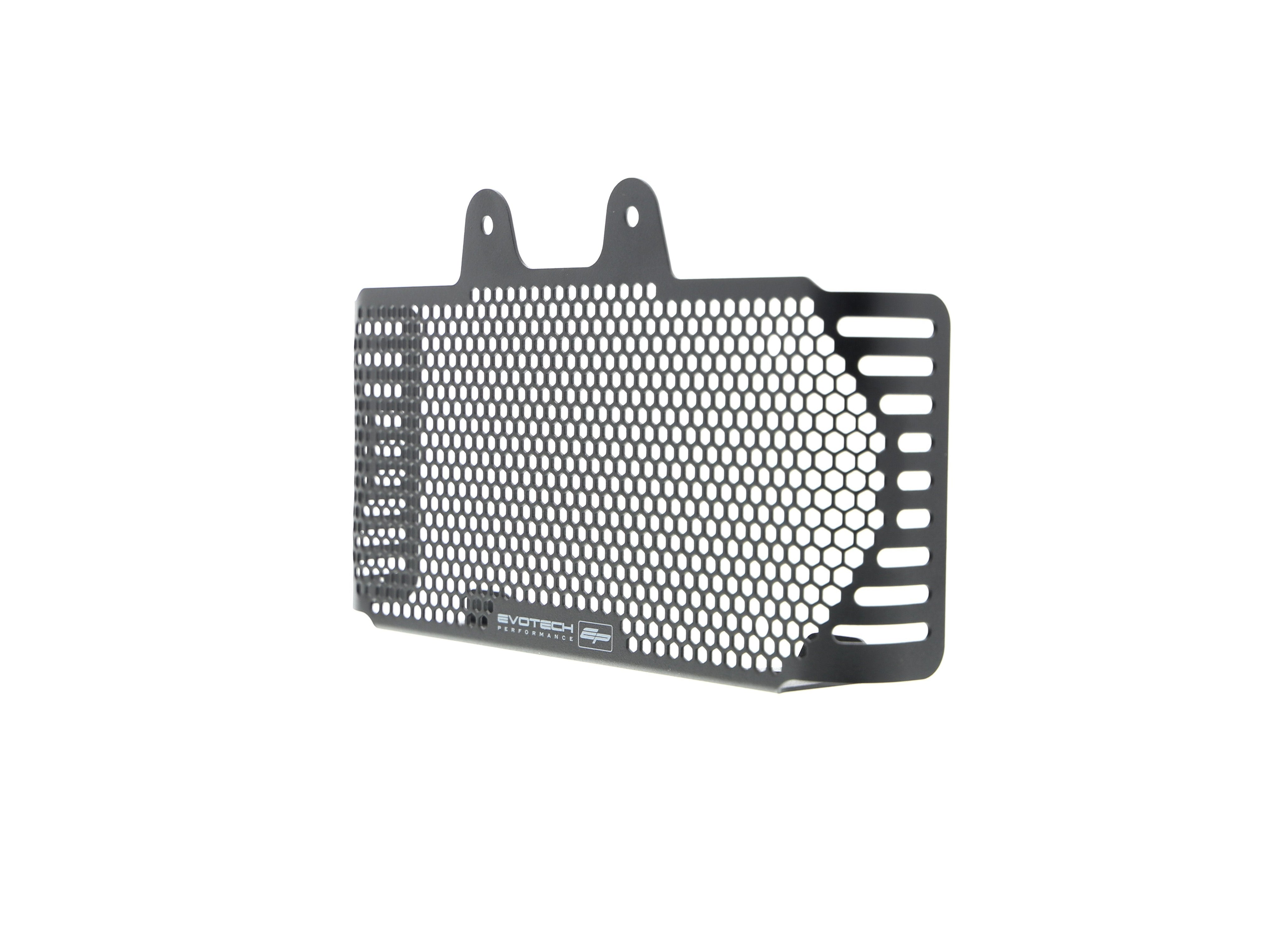 EP BMW R nineT Scrambler Oil Cooler Guard (2017+)
