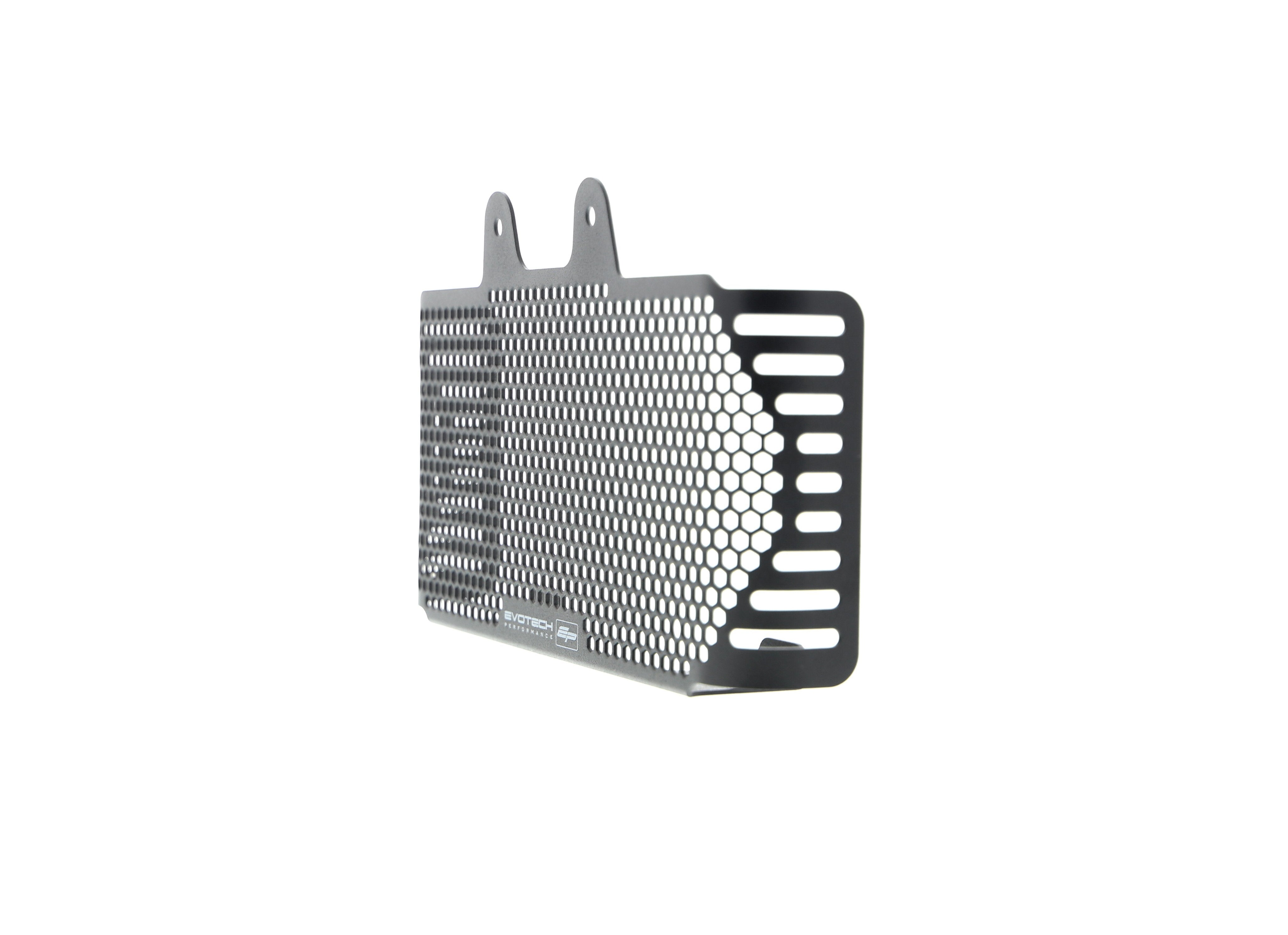 EP BMW R nineT Oil Cooler Guard (2017+)