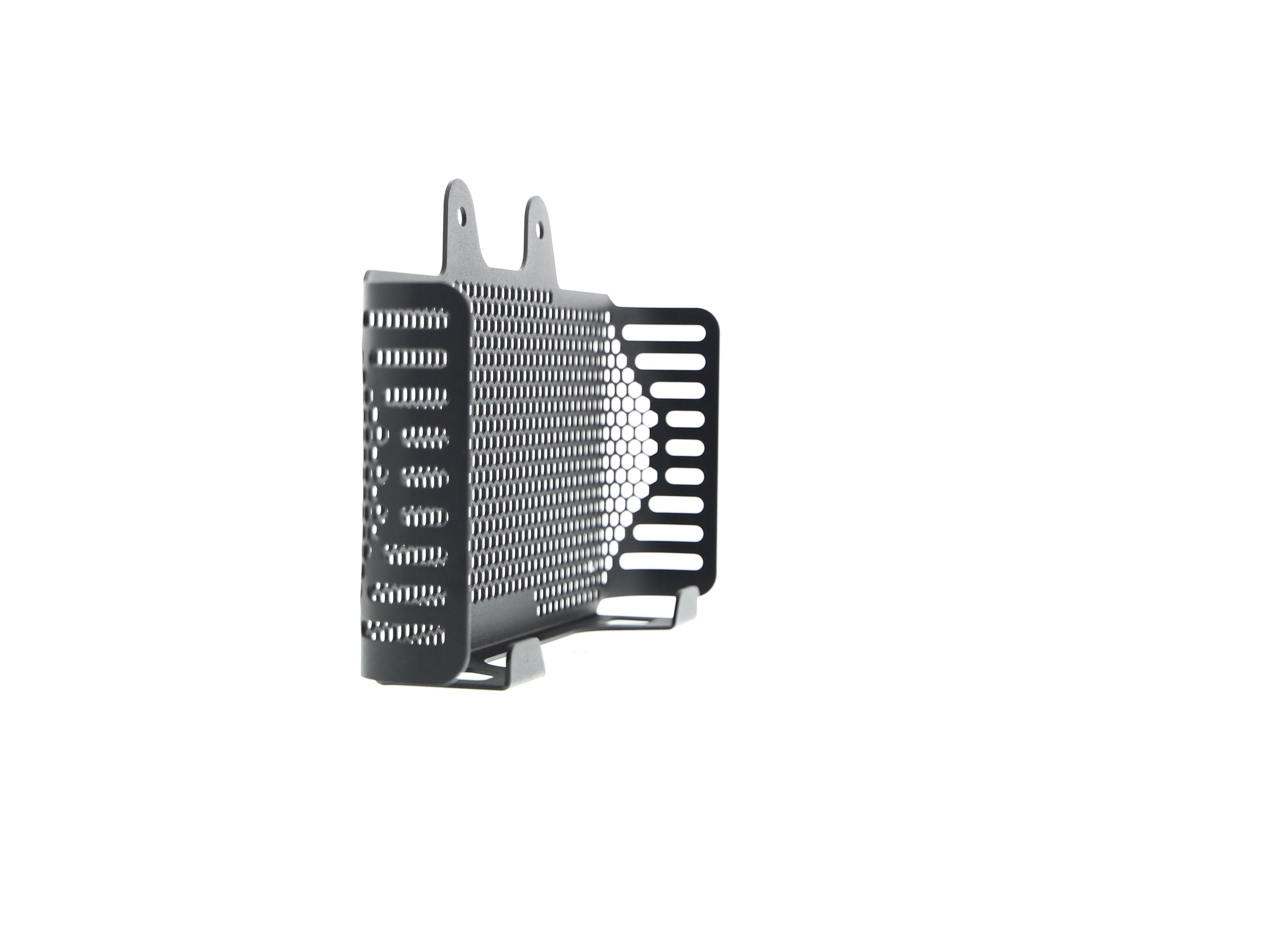 EP BMW R nineT Scrambler Oil Cooler Guard (2017+)