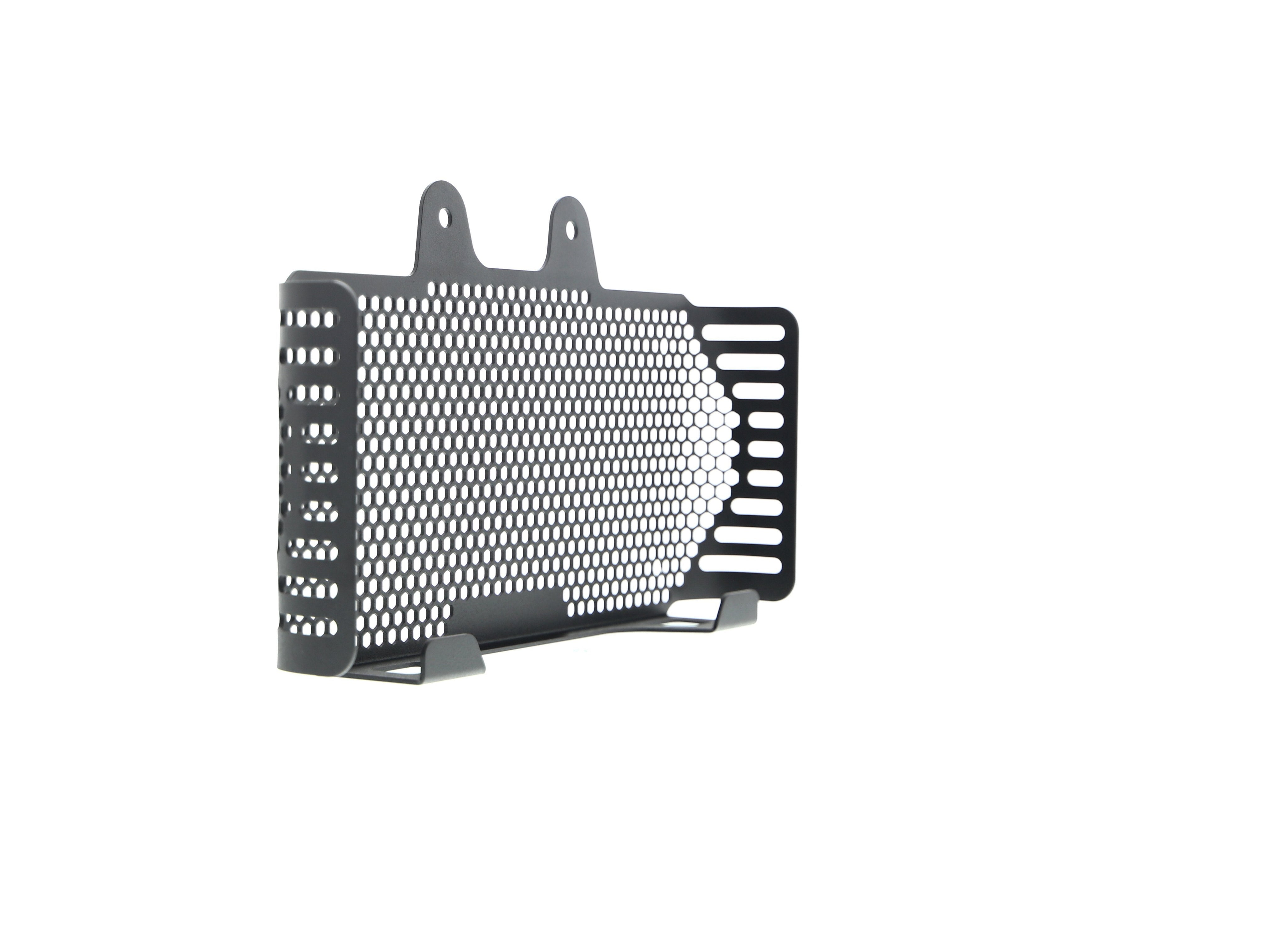 EP BMW R nineT Racer Oil Cooler Guard (2017+)