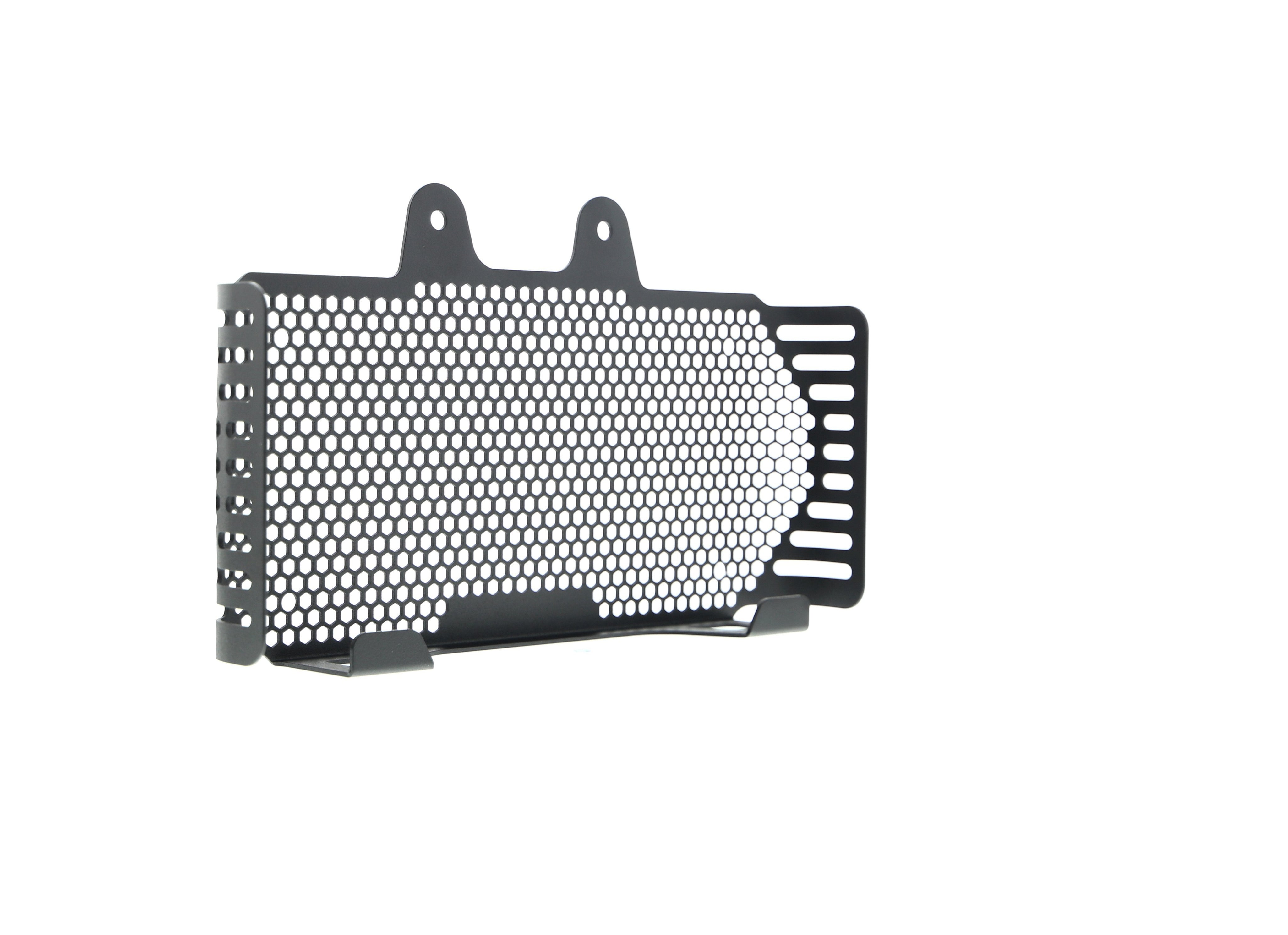 EP BMW R nineT Racer Oil Cooler Guard (2017+)