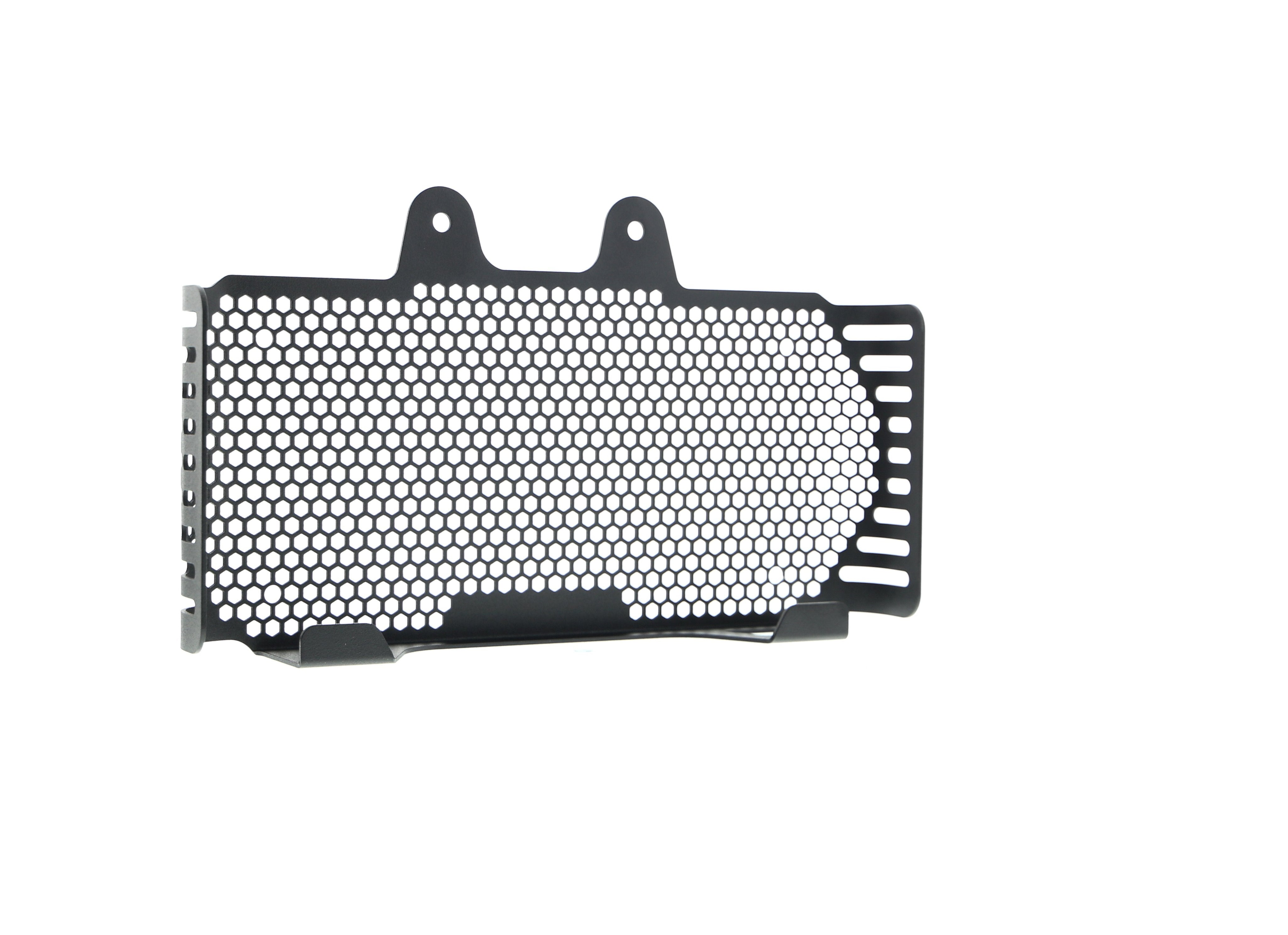 EP BMW R nineT Oil Cooler Guard (2017+)