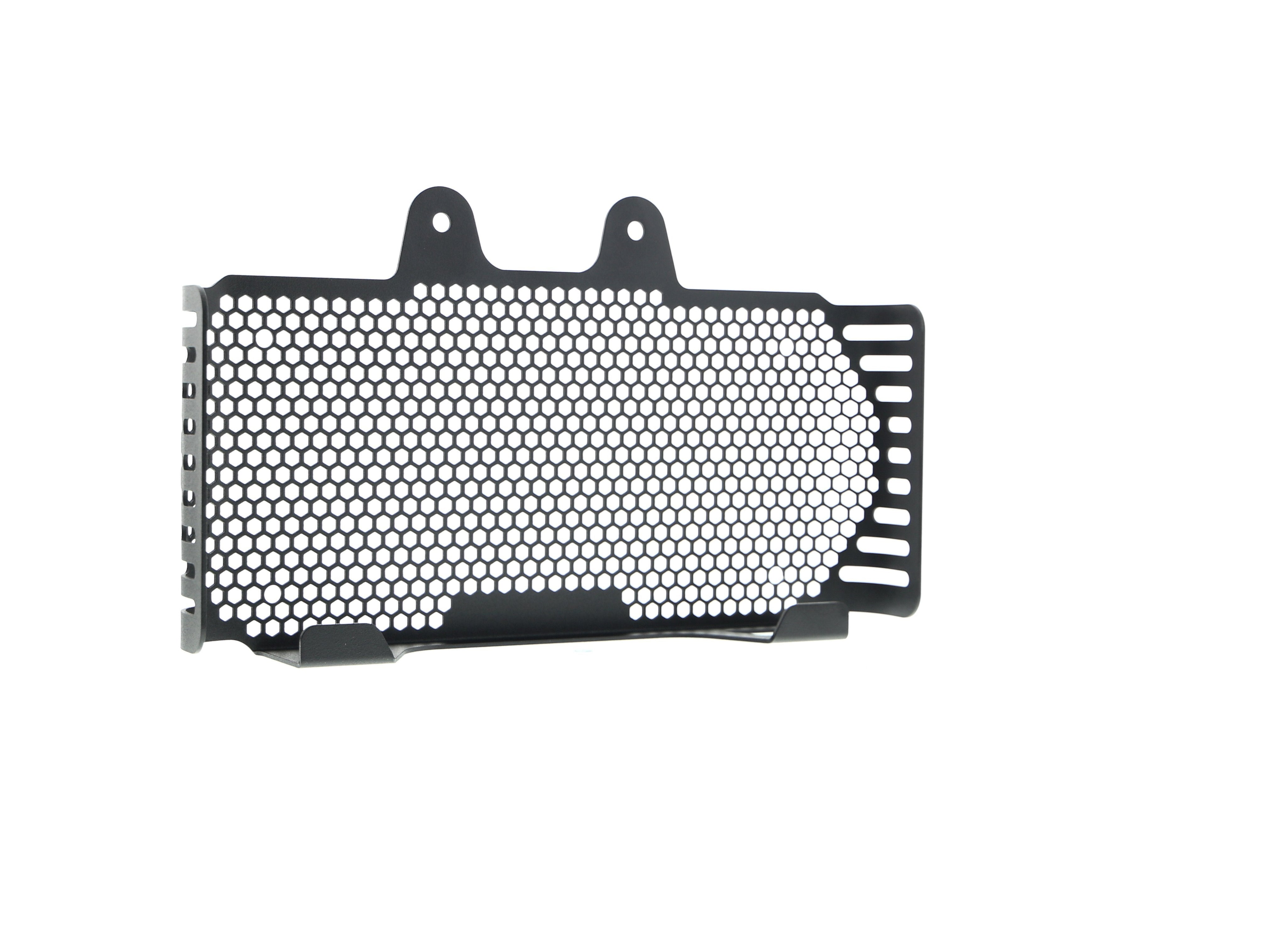 EP BMW R nineT Pure Oil Cooler Guard (2017+)