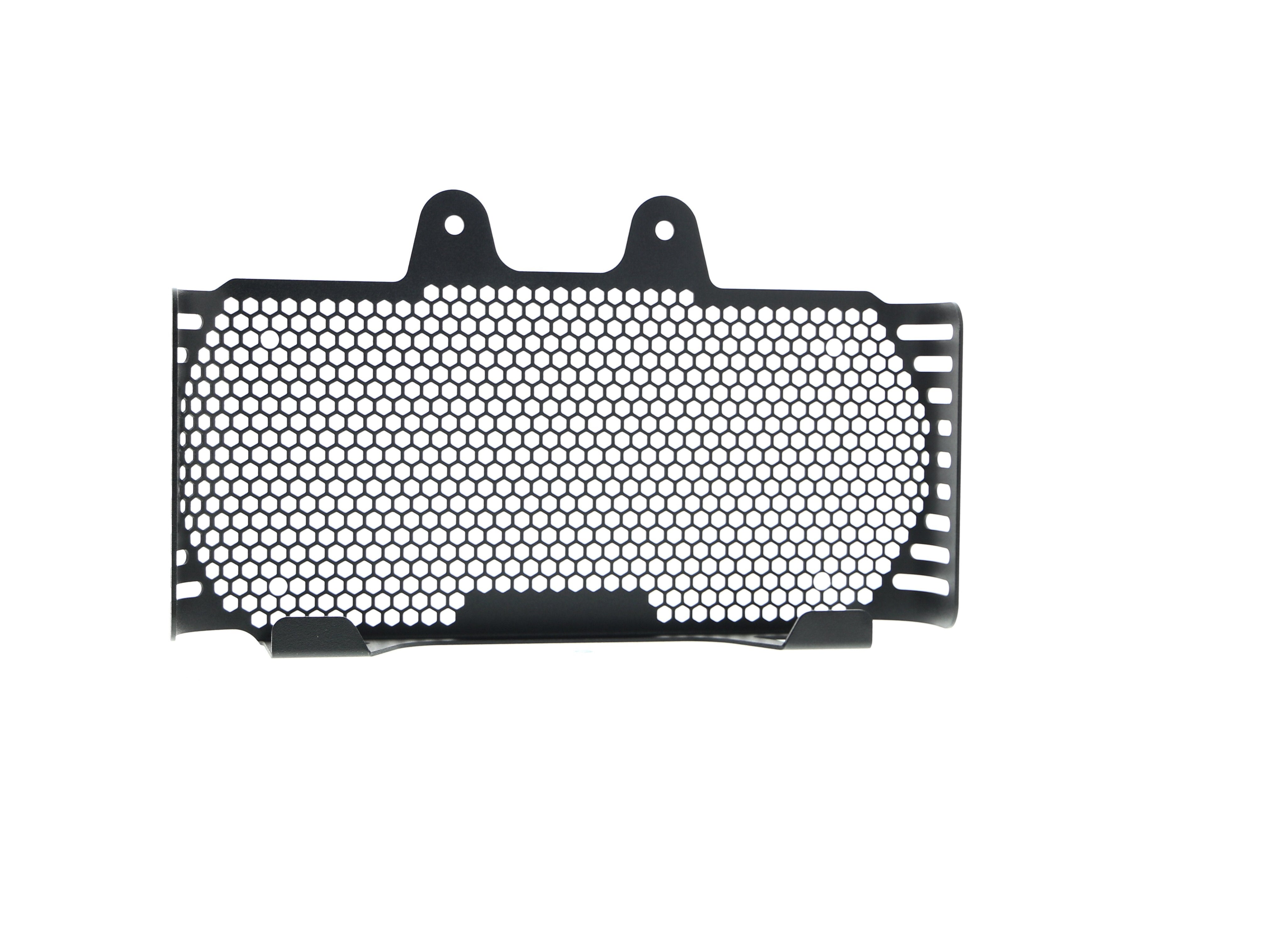 EP BMW R nineT Oil Cooler Guard (2017+)