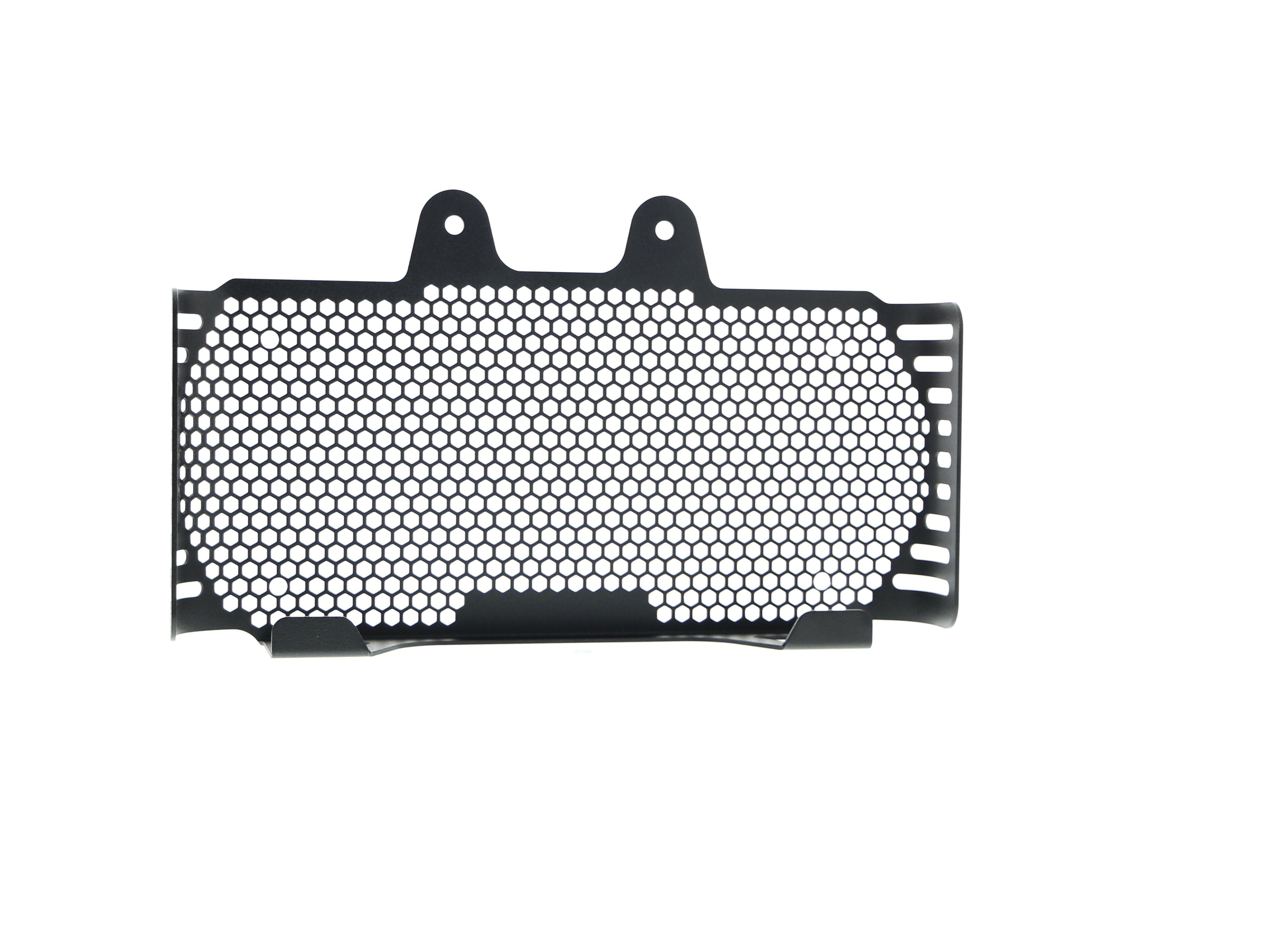 EP BMW R nineT Pure Oil Cooler Guard (2017+)