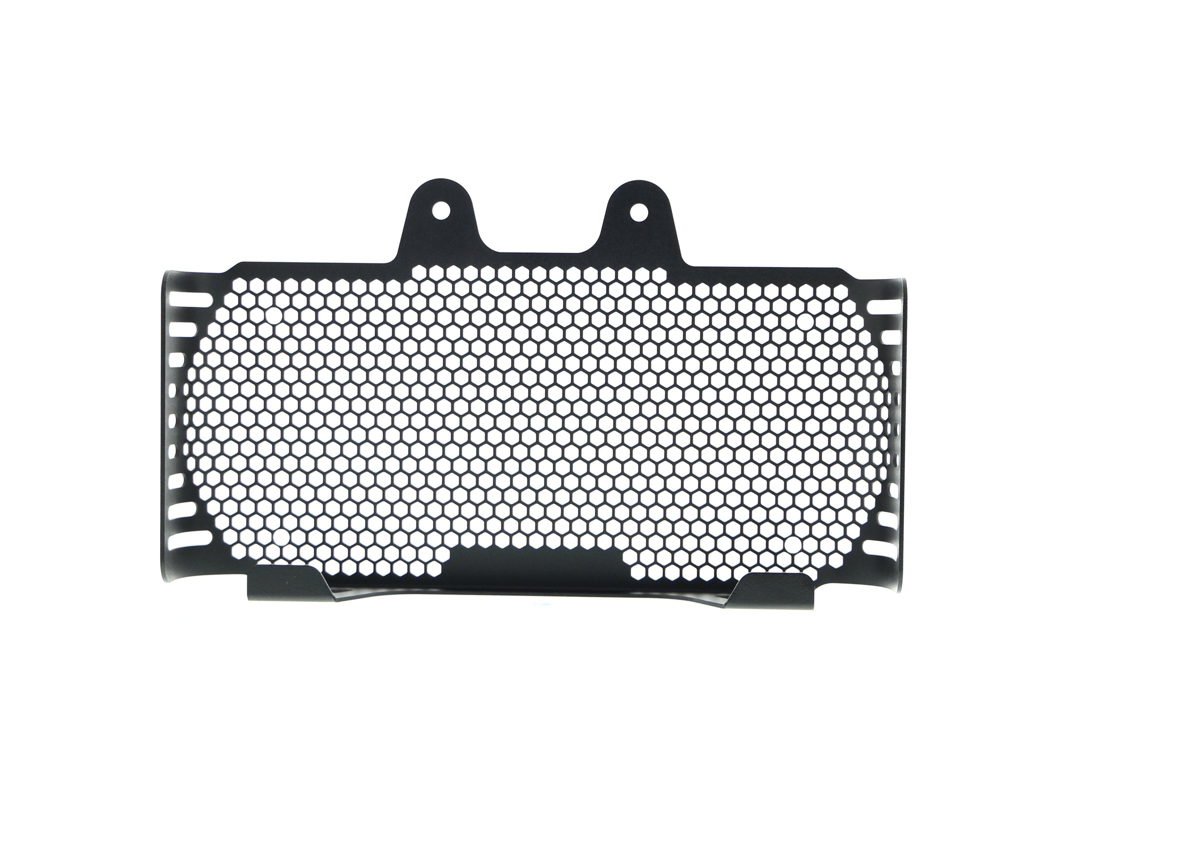 EP BMW R nineT Racer Oil Cooler Guard (2017+)
