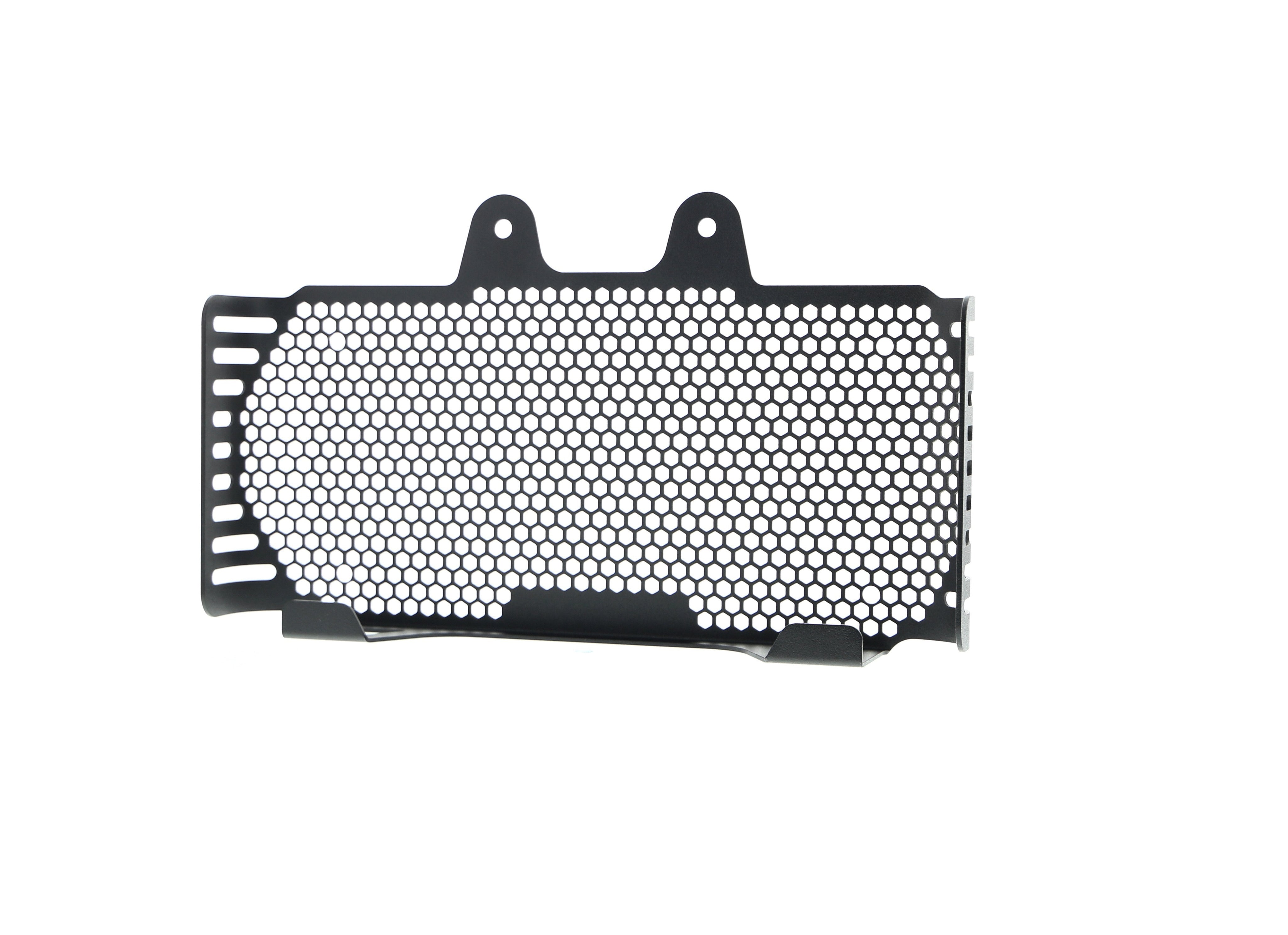 EP BMW R nineT Pure Oil Cooler Guard (2017+)