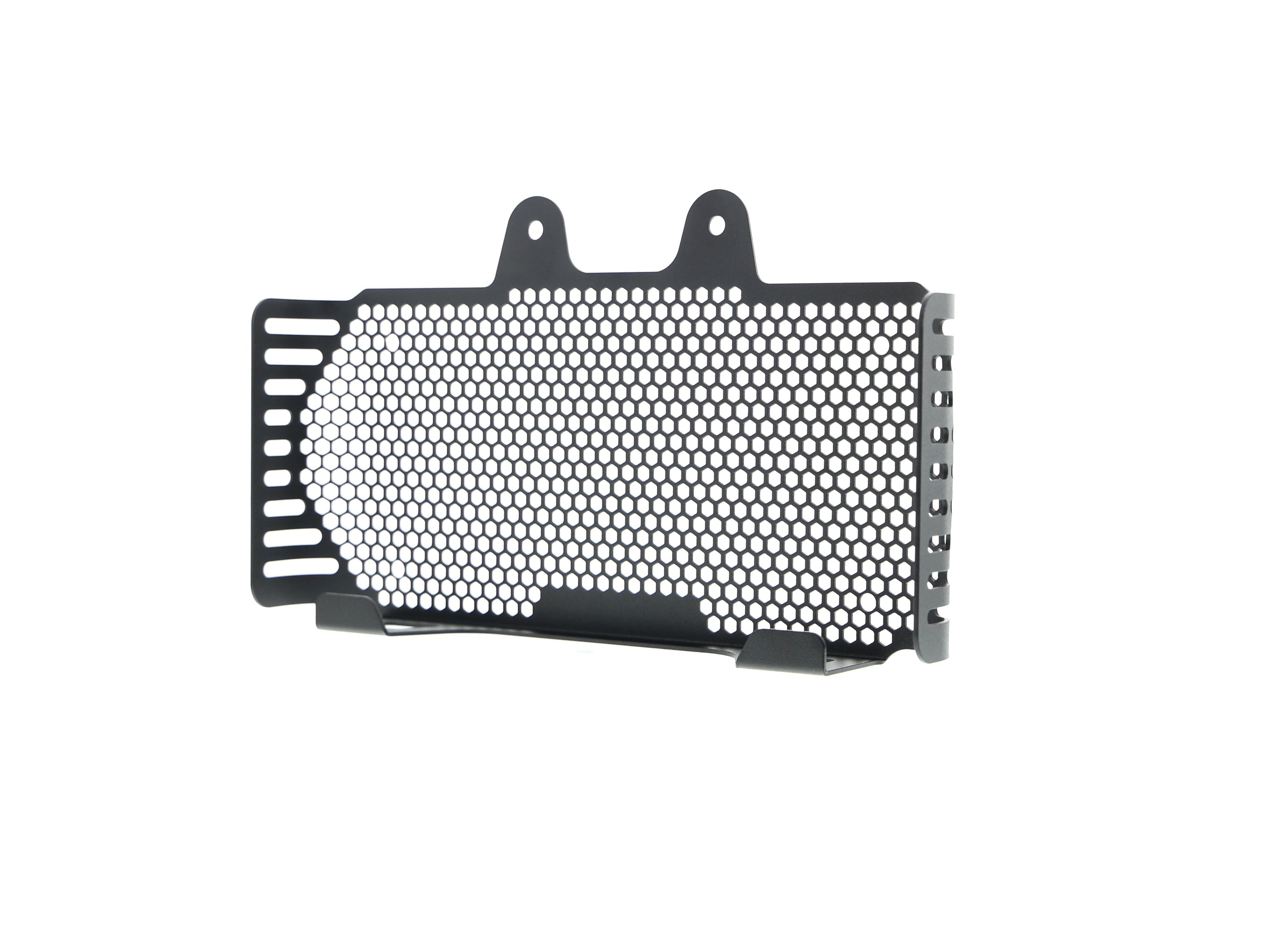 EP BMW R nineT Urban G/S Oil Cooler Guard (2017+)