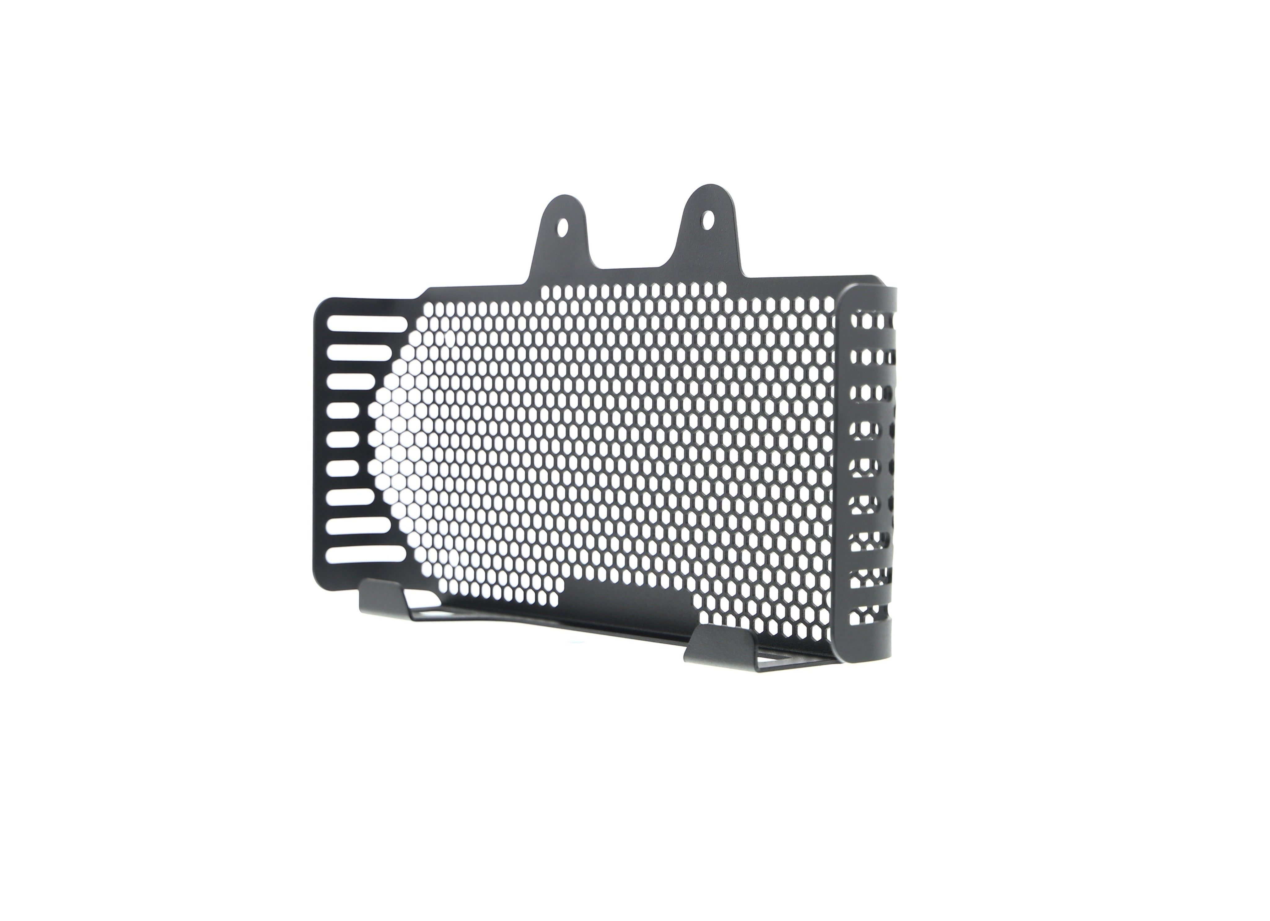 EP BMW R nineT Pure Oil Cooler Guard (2017+)