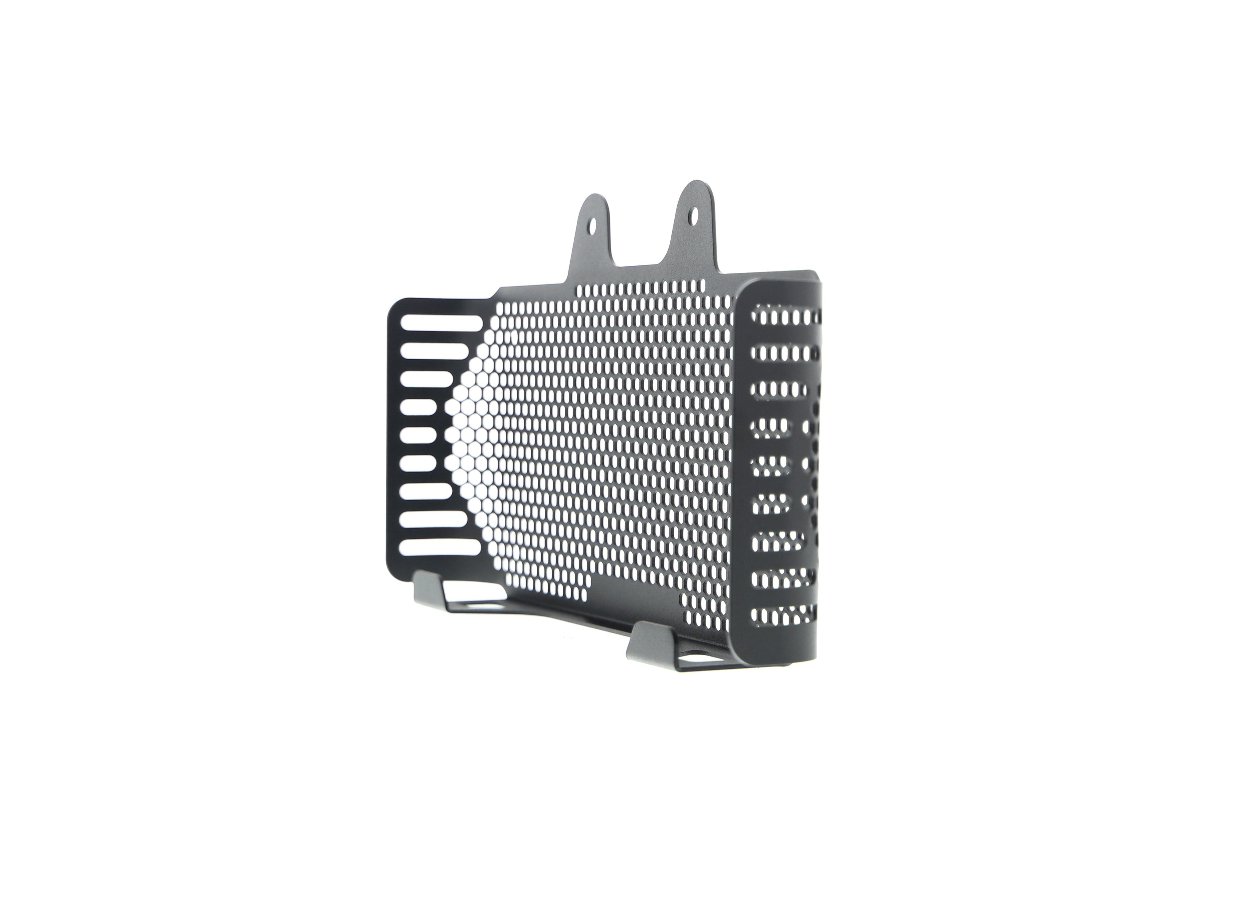 EP BMW R nineT Urban G/S Oil Cooler Guard (2017+)