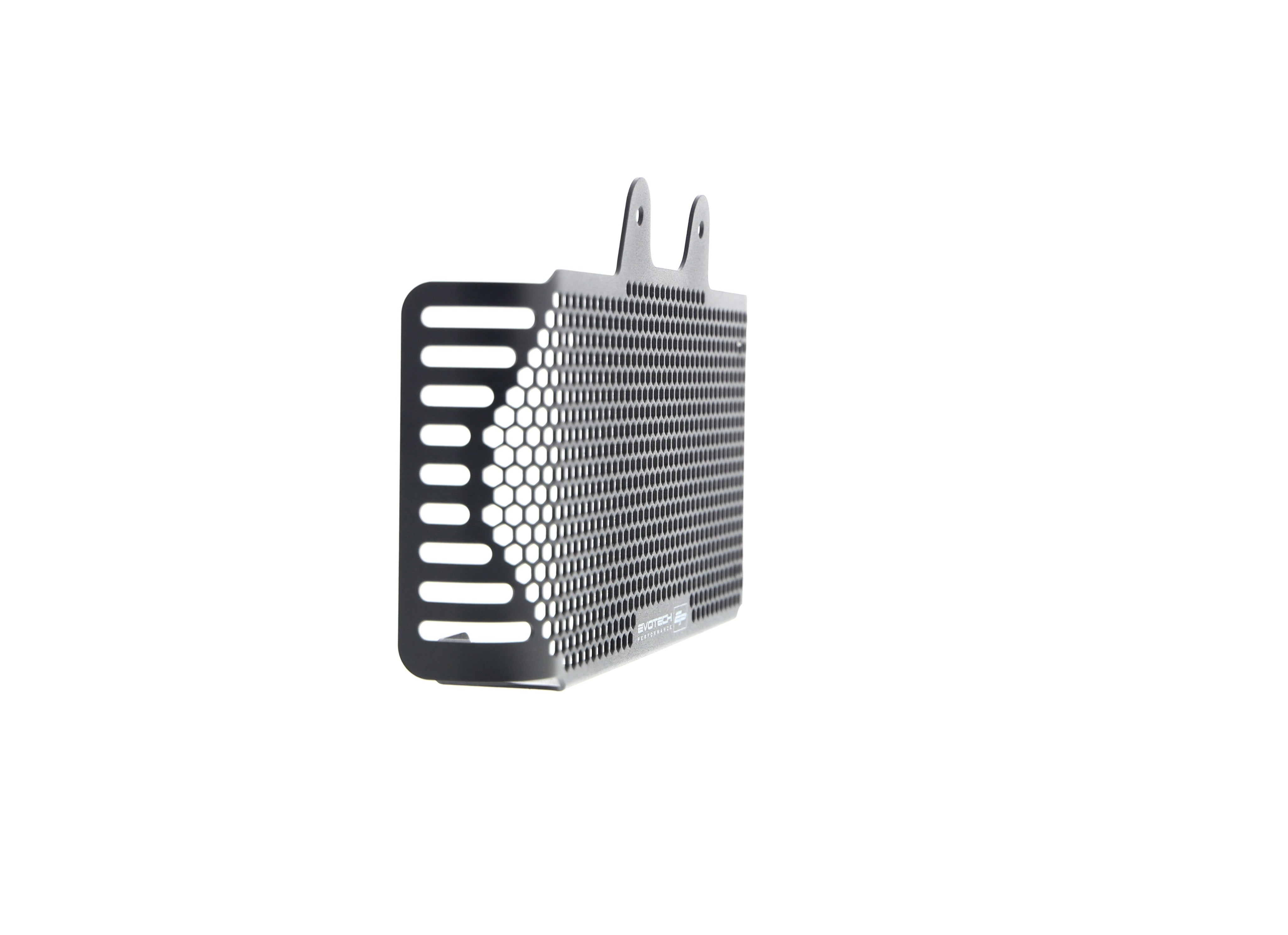 EP BMW R nineT Oil Cooler Guard (2017+)