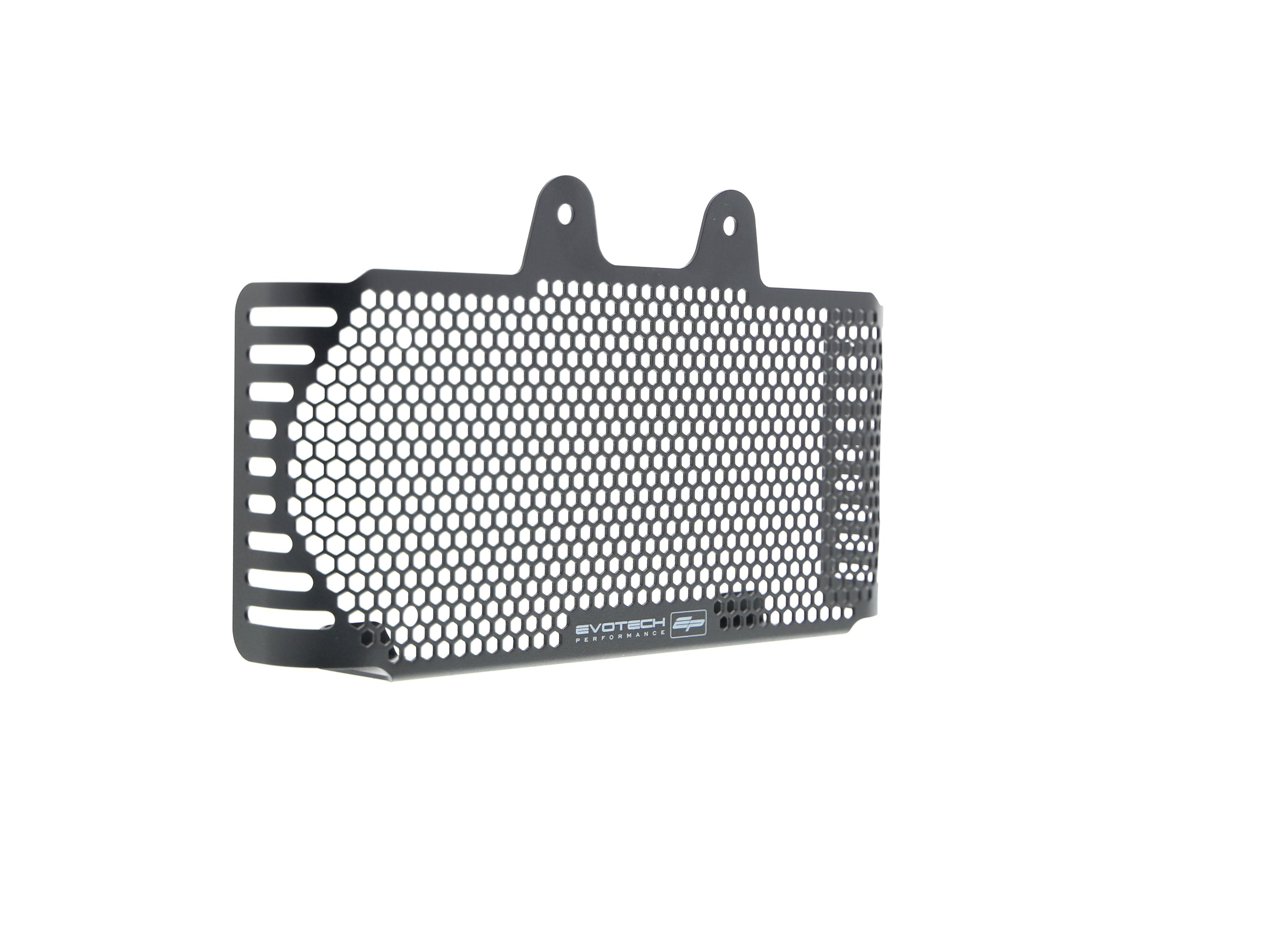 EP BMW R nineT Urban G/S Oil Cooler Guard (2017+)