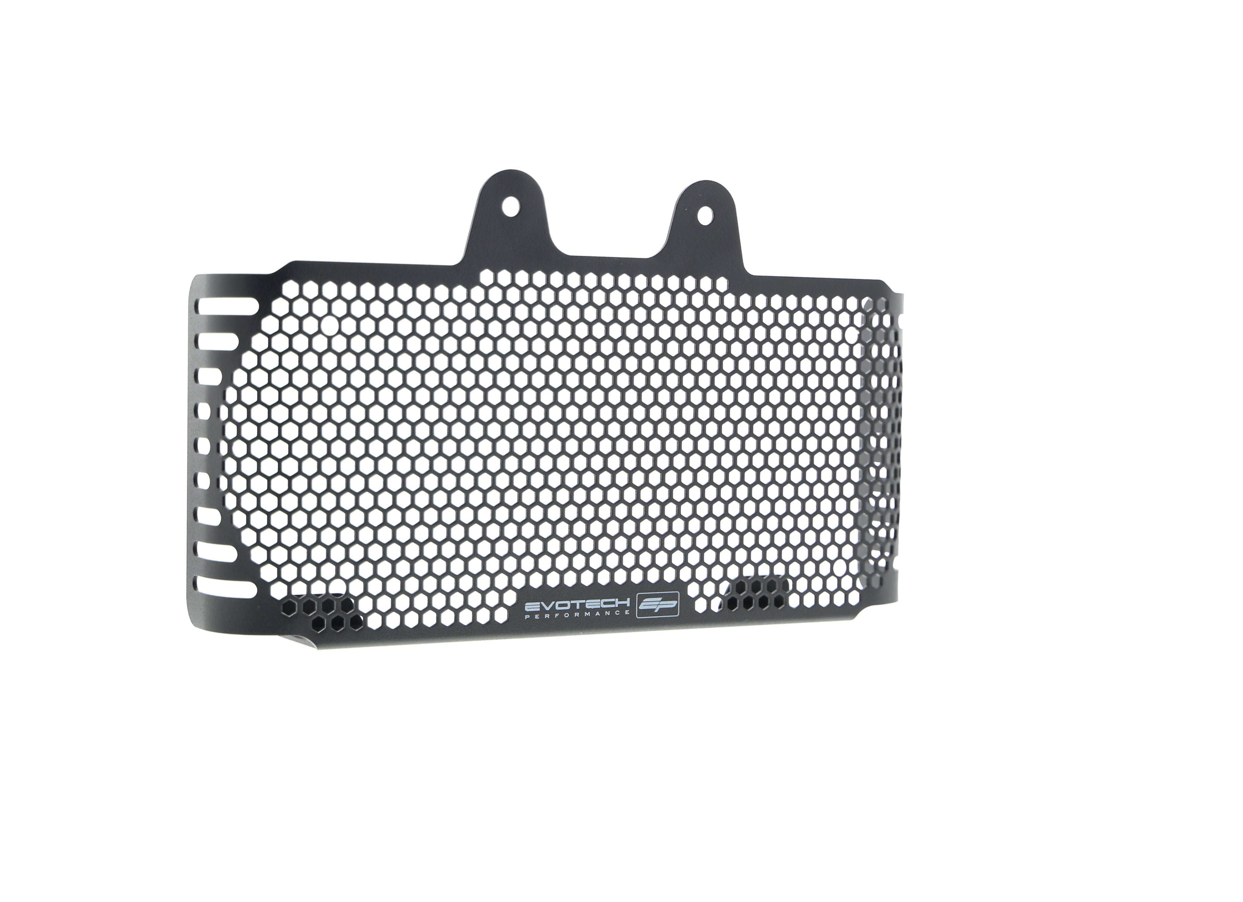 EP BMW R nineT Oil Cooler Guard (2017+)