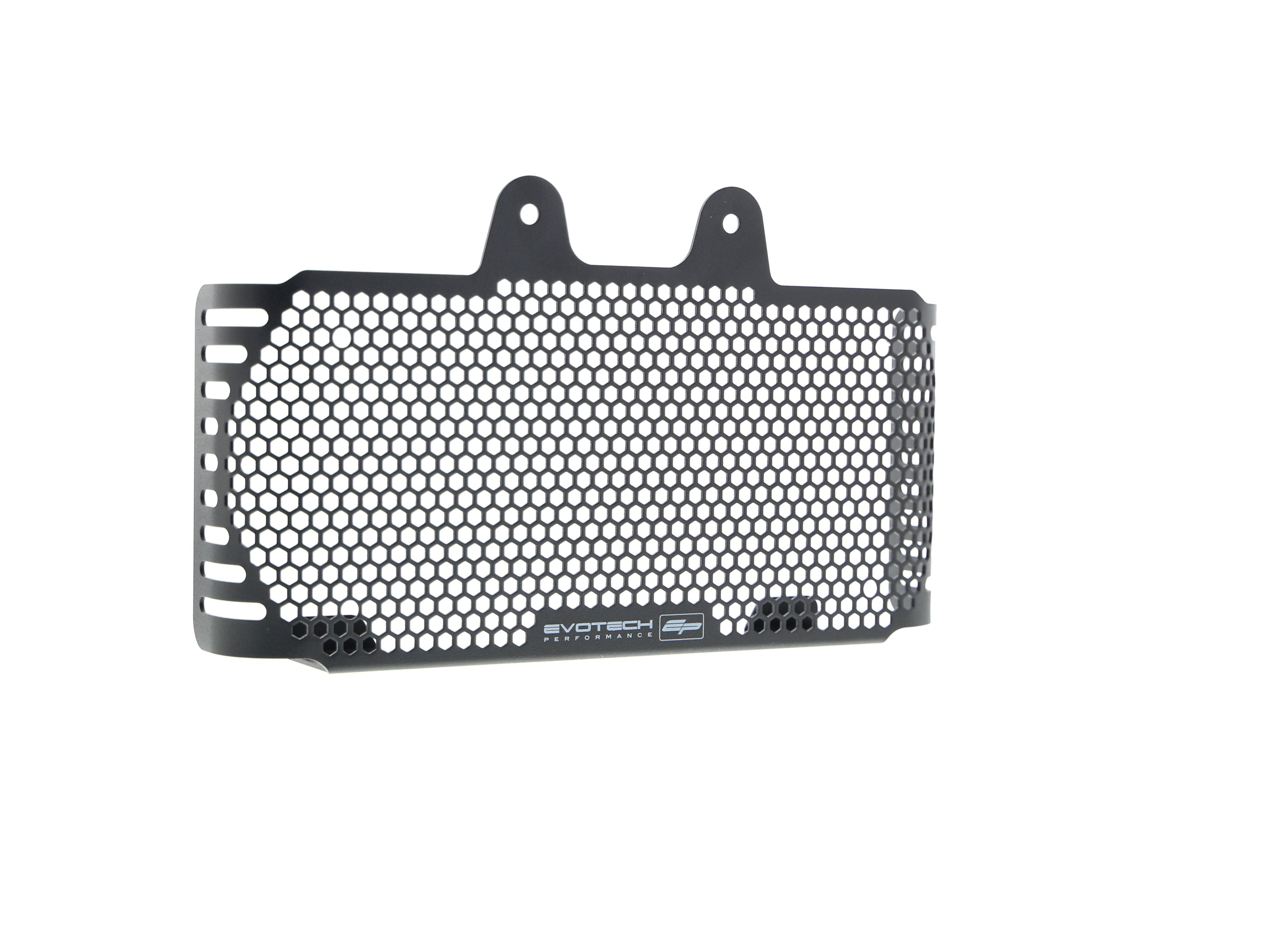 EP BMW R nineT Scrambler Oil Cooler Guard (2017+)