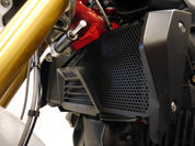 EP BMW R 1200 R Radiator Guard 2015 - 2018