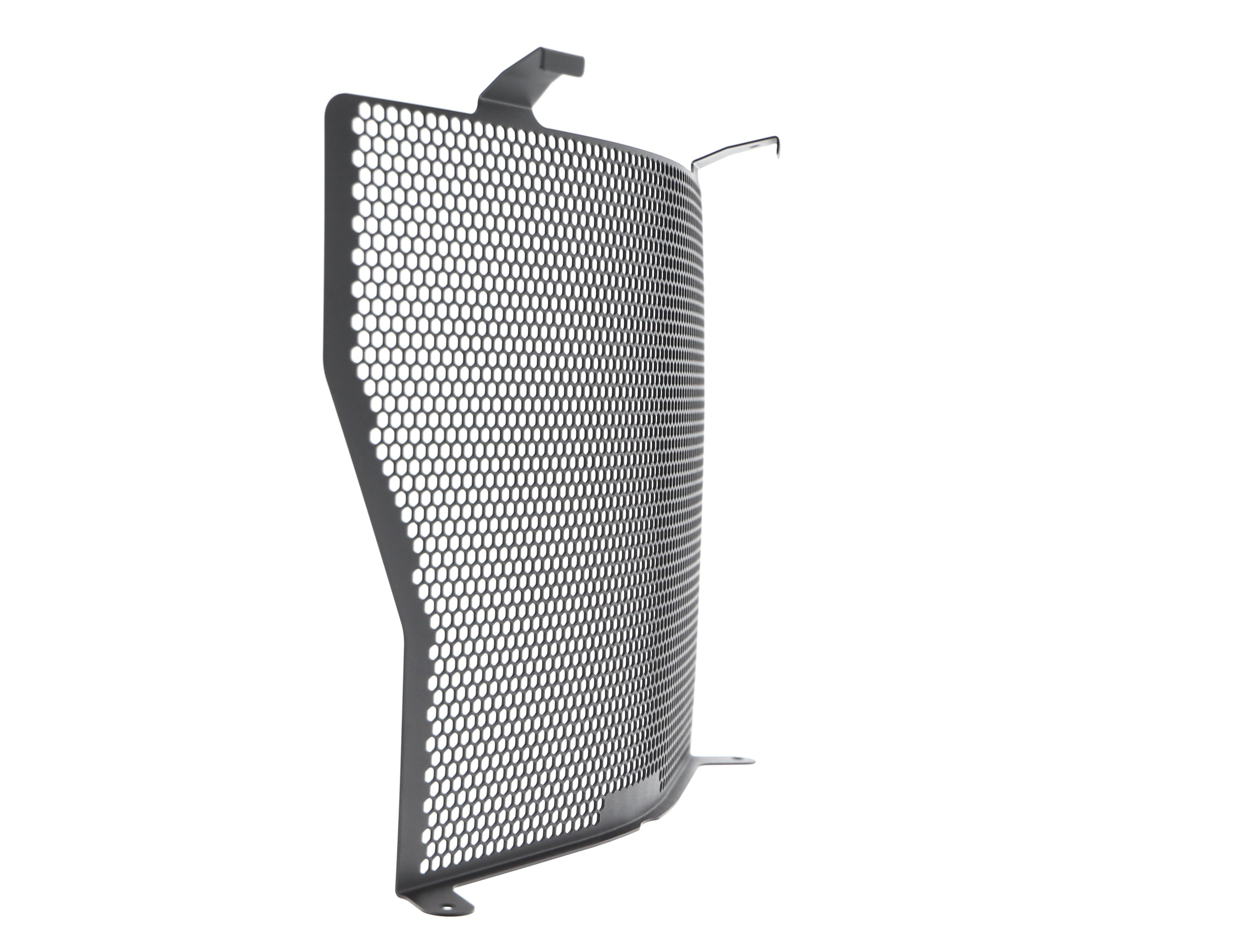 EP BMW S 1000 R Radiator Guard (2017-2020)