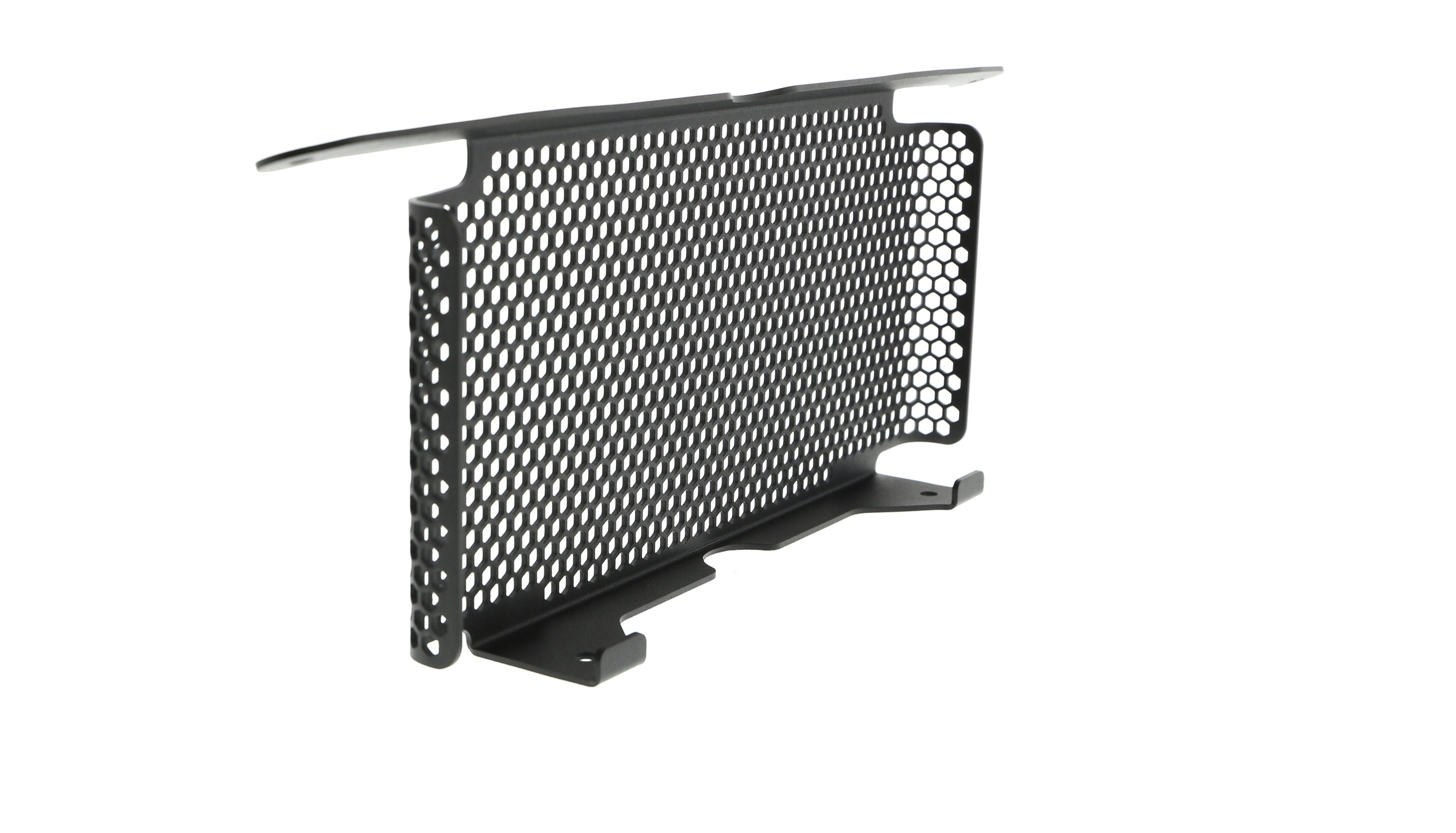 EP BMW S 1000 R Oil Cooler Guard (2017-2020)