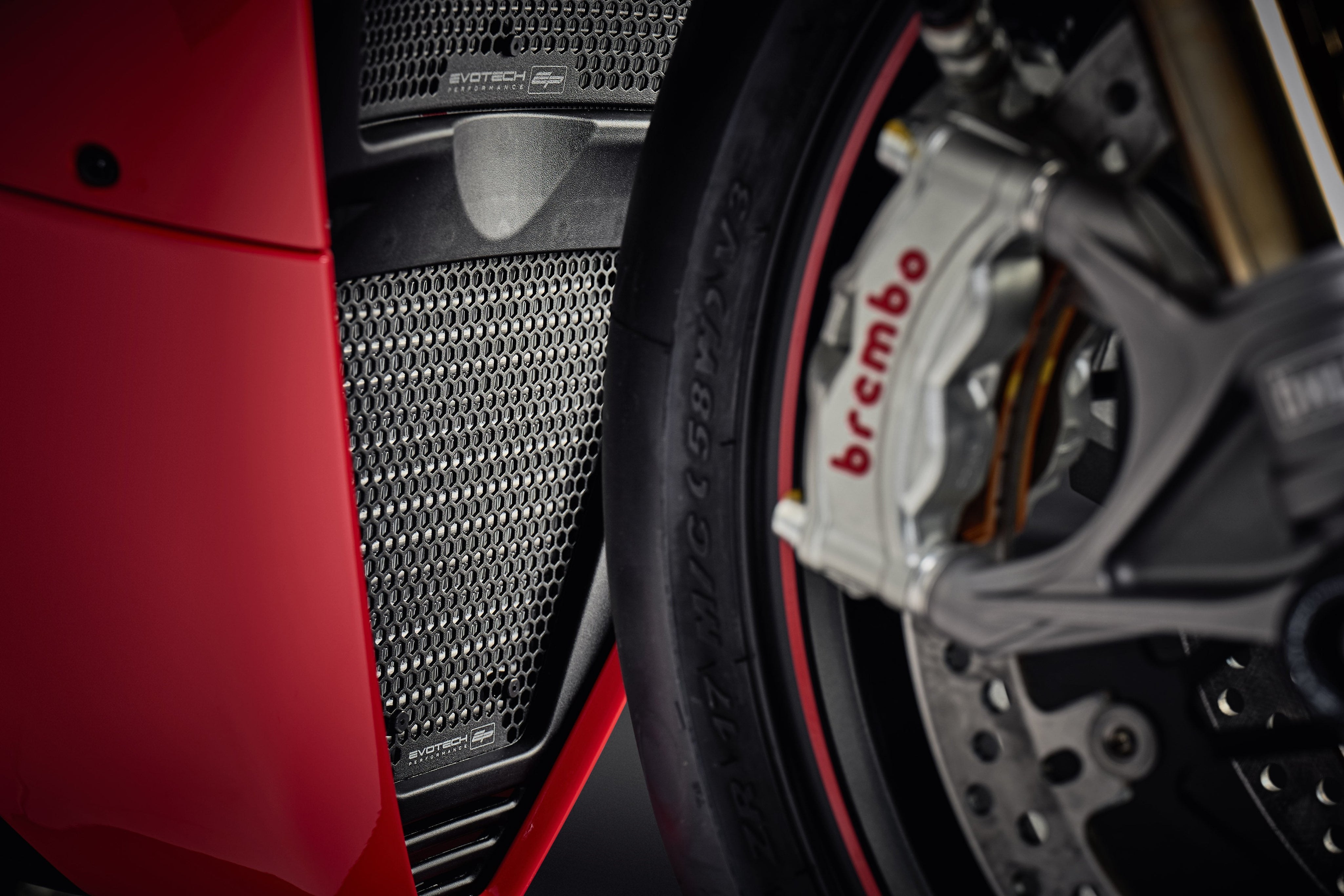 EP Ducati Panigale V4 S Radiator Guard Set (2018 - 2020)
