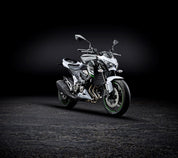 EP Kawasaki Z800 Radiator Guard (2013 - 2018)