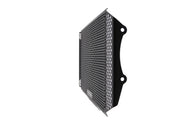 EP Kawasaki Z900RS Radiator Guard (2018 - 2020)