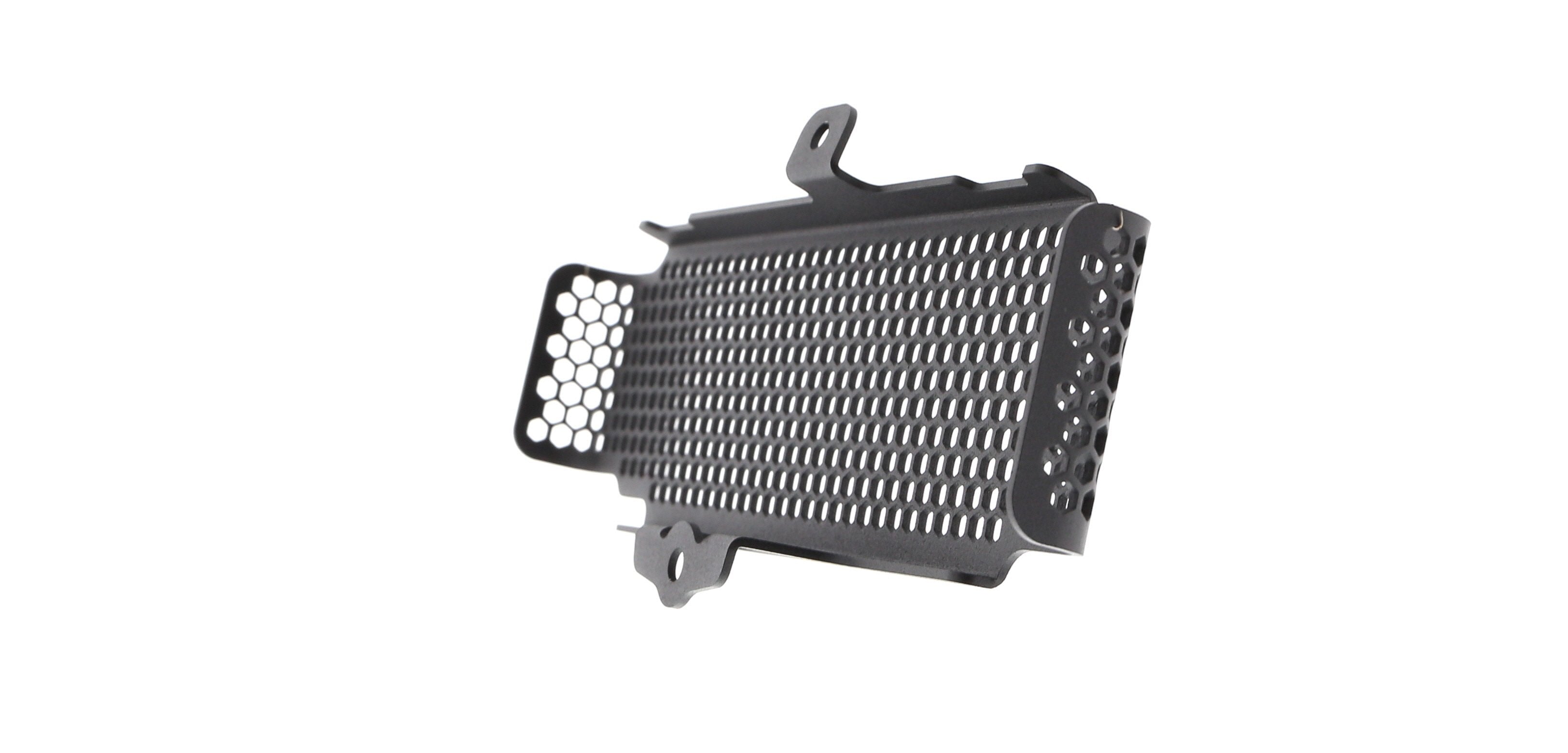 EP Oil Cooler Guard - Triumph Speed Triple RS (2018 - 2020)