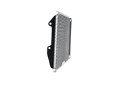 EP Yamaha FZ-09 Radiator Guard (2017-2020)