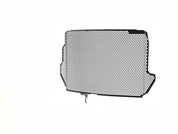 EP Yamaha YZF-R1M Radiator Guard 2015 - 2019