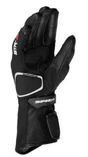 STR-5 LADY A189 026 PALM 600x337