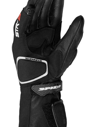 STR-5 LADY A189 026 PALM 600x337