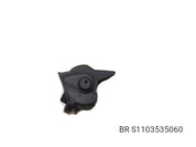 BRs S1103535060