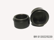 BR S120225220