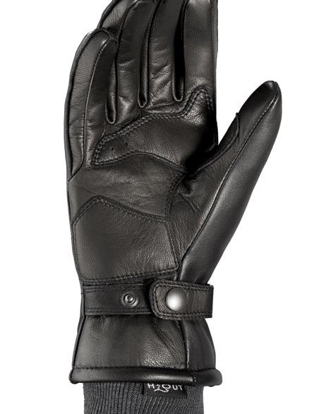 A166 026 AVANT-GARDE LADY PALM small
