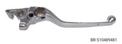 BRs S10489481