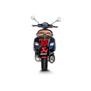 Slip On Muffler Vespa GTS300